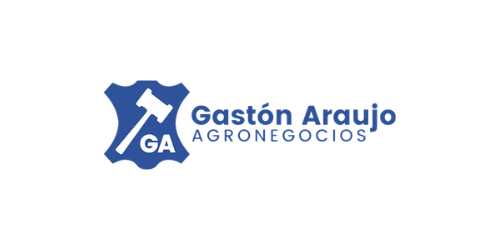 Gastón Araujo