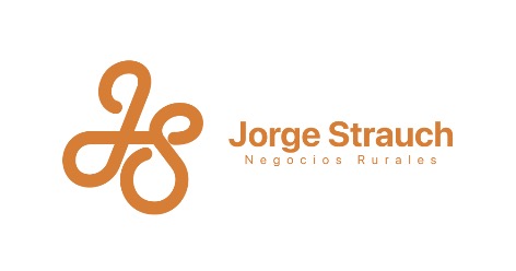 Jorge Strauch
